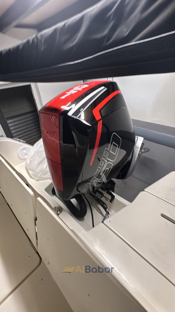 Image 10