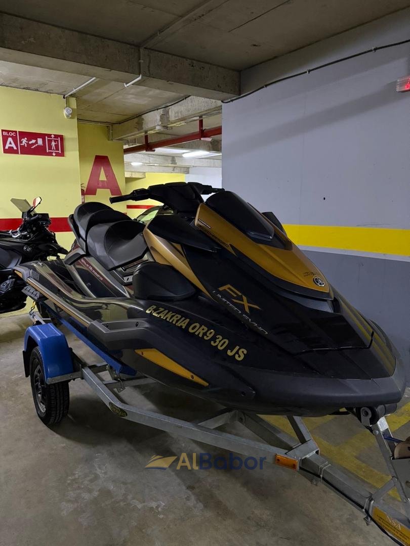 FX LIMITED SVHO 2024